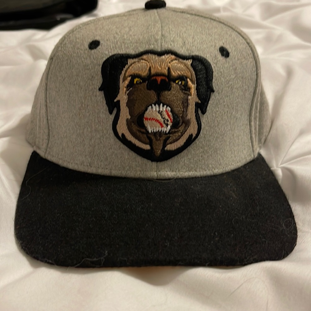 RSVLTS The Sandlot Hercules Snapback Hat